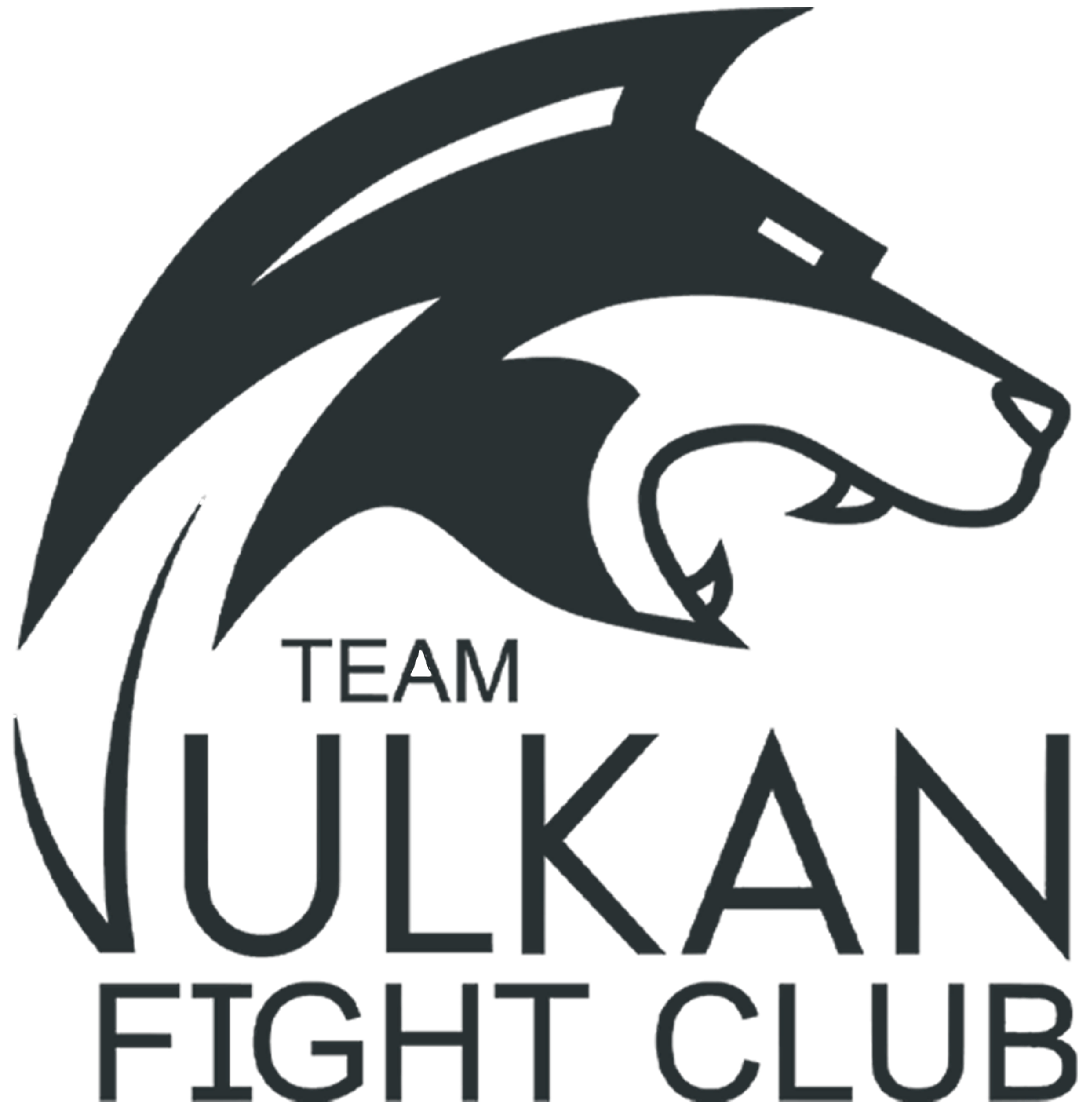 Team Vulkan Fightclub e.V.